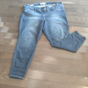 Torrid jeans